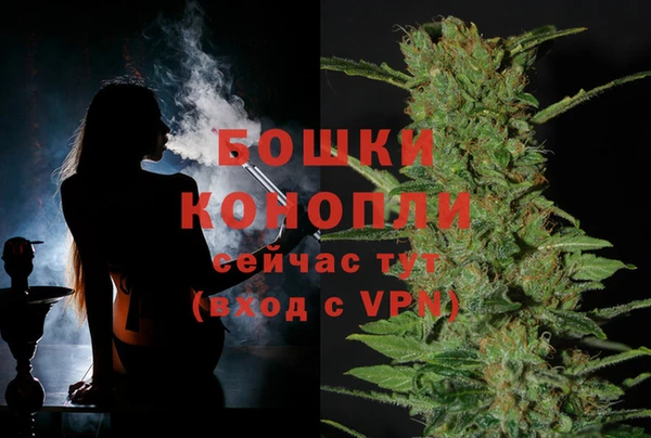 мет Бородино