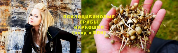 дмт Бугульма