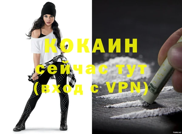 мет Бородино