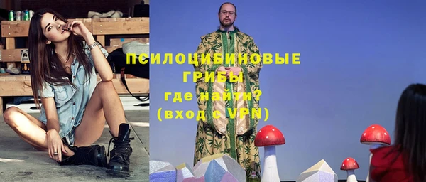 мет Бородино